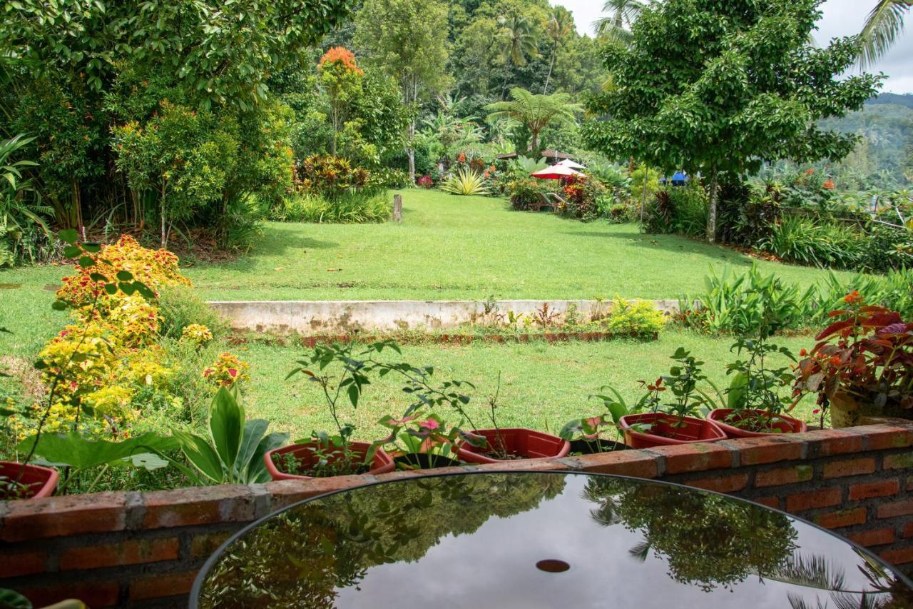 Amartya Puri Bed & Breakfast Munduk (Bali)