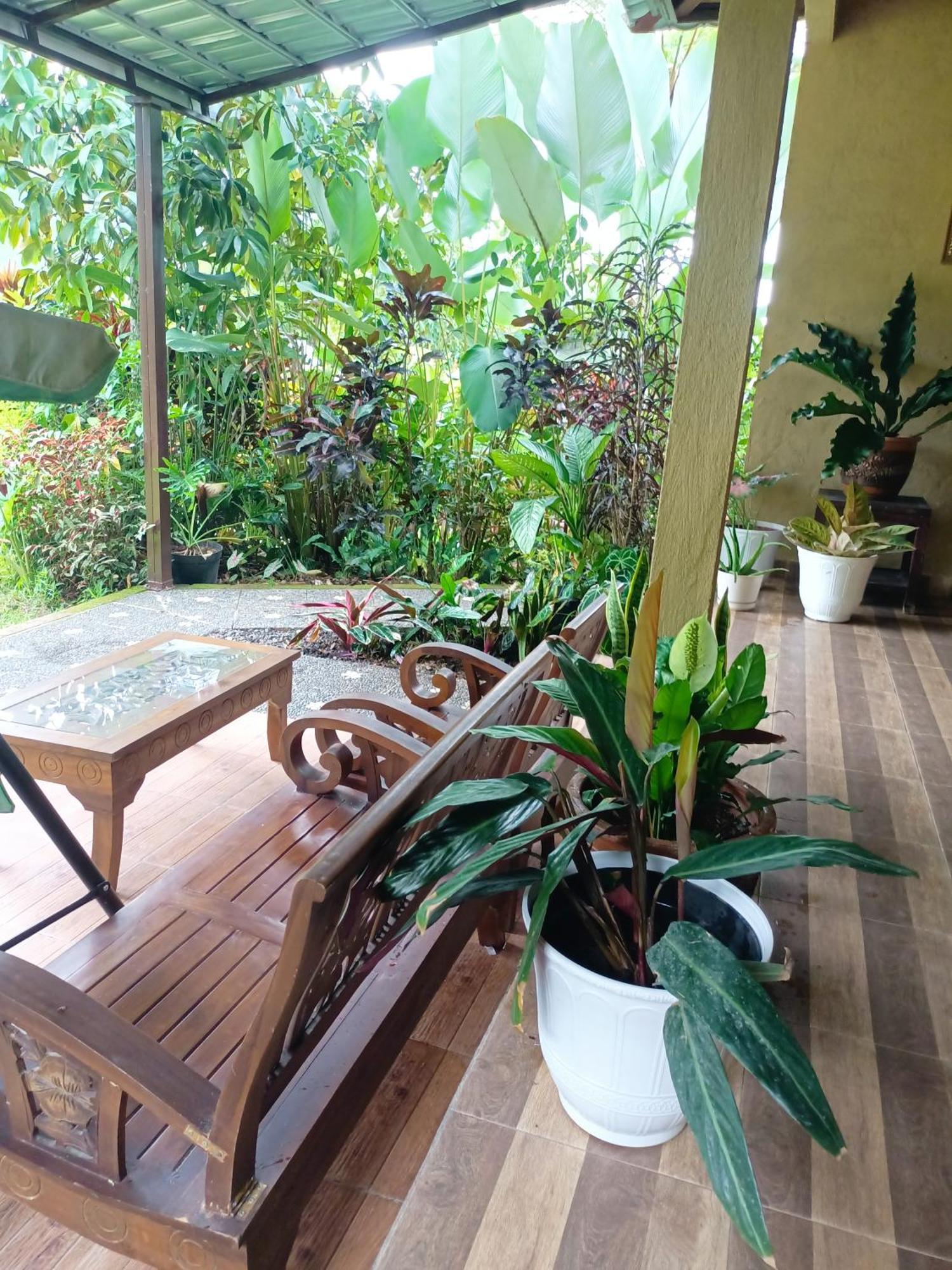 Couette-café Amartya Puri Munduk