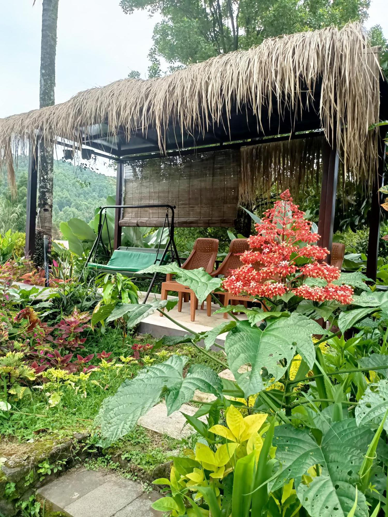 Amartya Puri 2* Munduk (Bali)